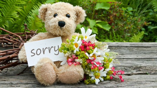 Best Flower to Say Sorry
