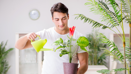 How to Keep Flowers Alive Longer