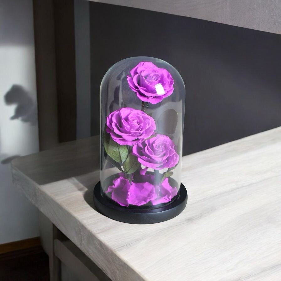 Purple Infinity Trio
