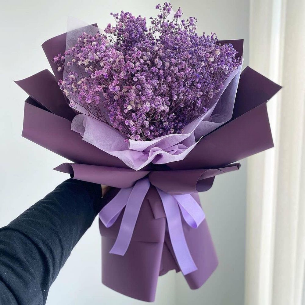 Royal Purple Gypsophila