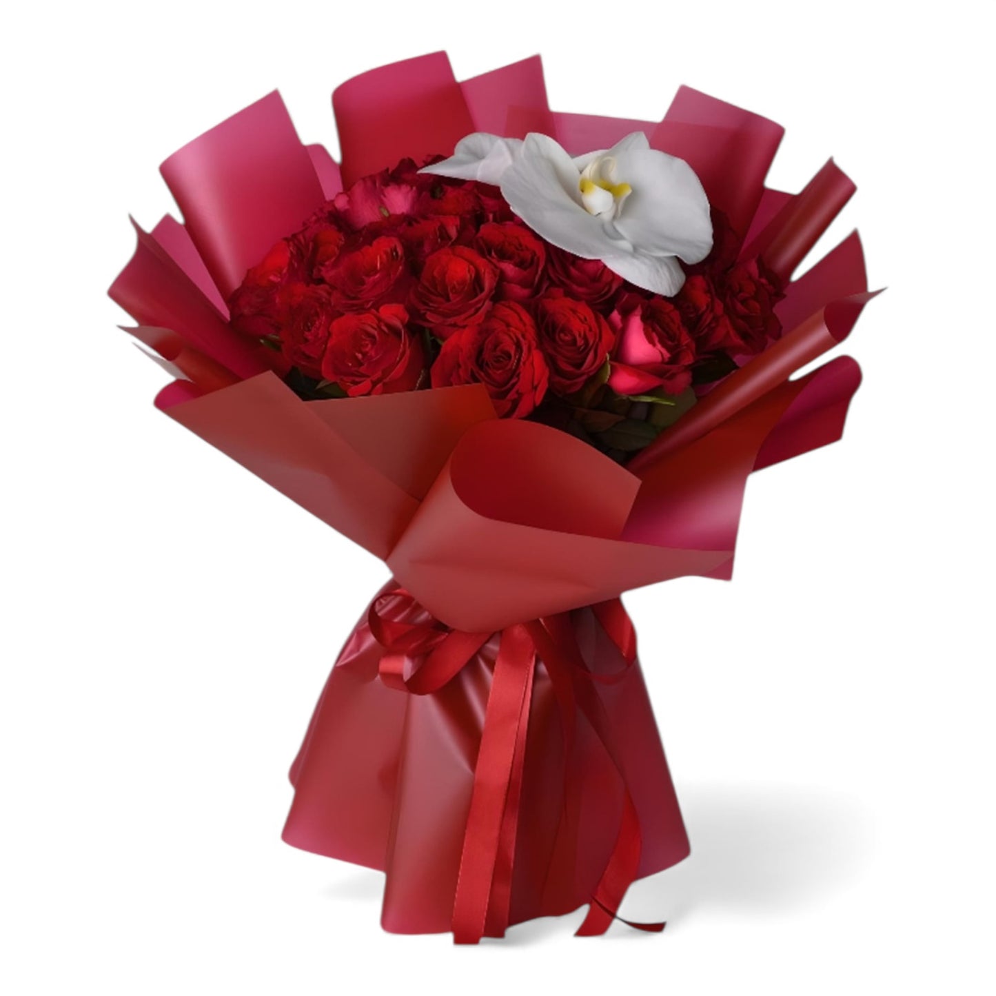 Scarlet Orchid Bloom