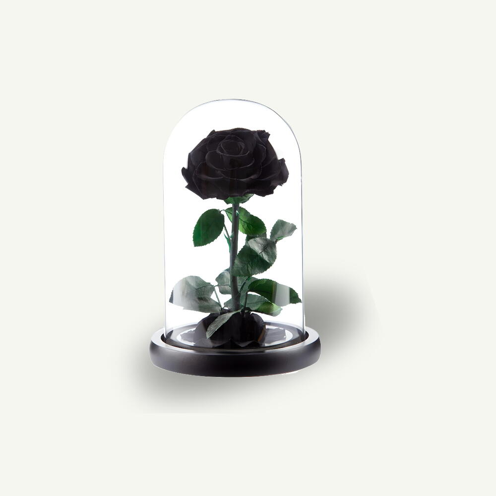 Single Black Infinity Rose