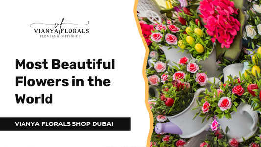 Most Beautiful Flowers in the World