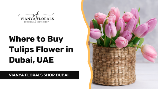Where to Buy Tulip Flowers Near Me in Dubai