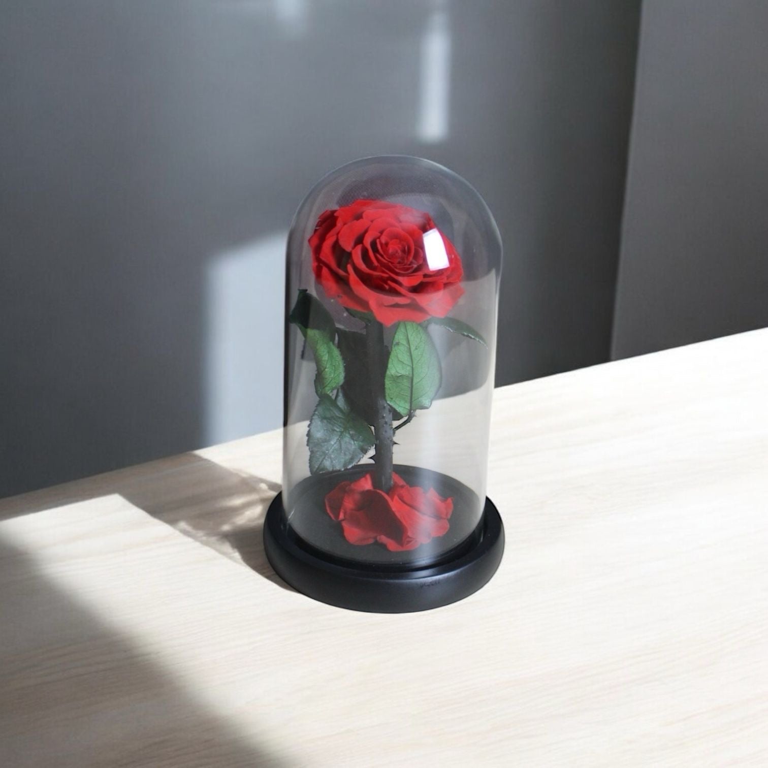 infinity flower dubai, UAE 