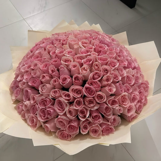 Rosé Lumière