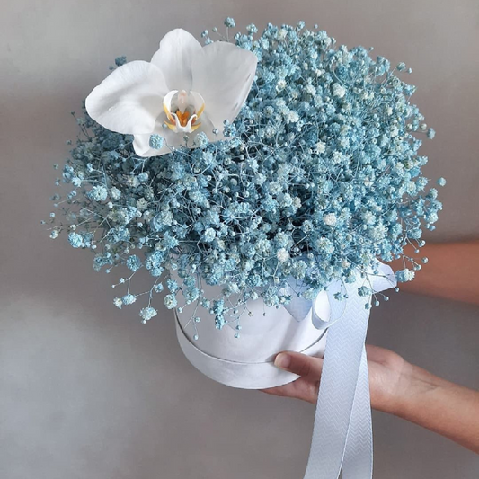 Blue Whisper Gypsophila & Orchid Box