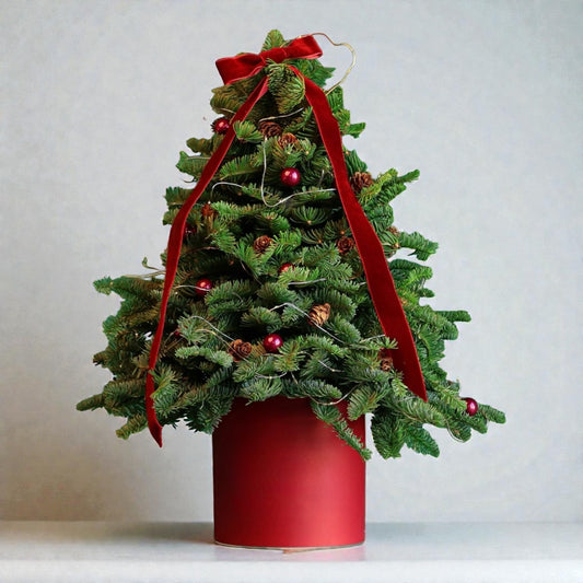 Christmas Tree with Light