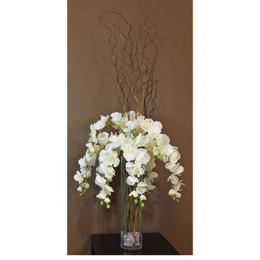 White Phaleanopsis Orchid Centrepiece
