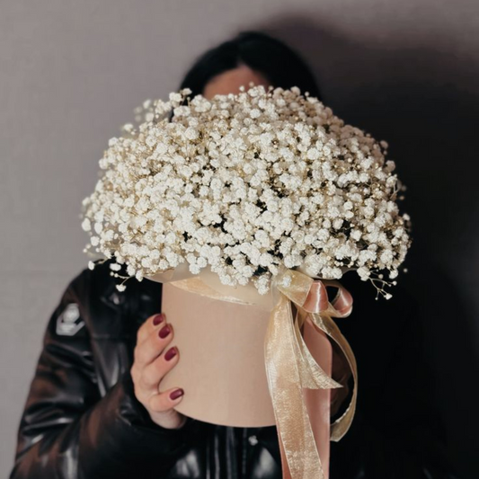 Ivory Cloud Gypsophila Box