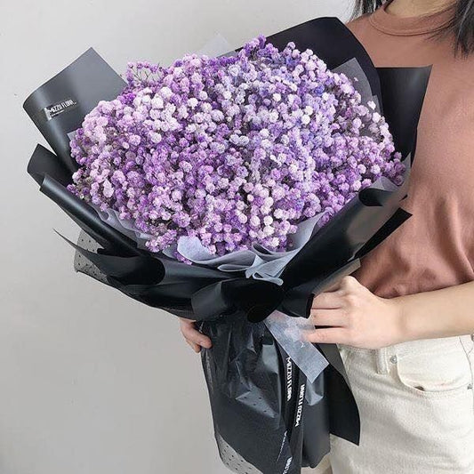 Lavender Cloud Gypsophila