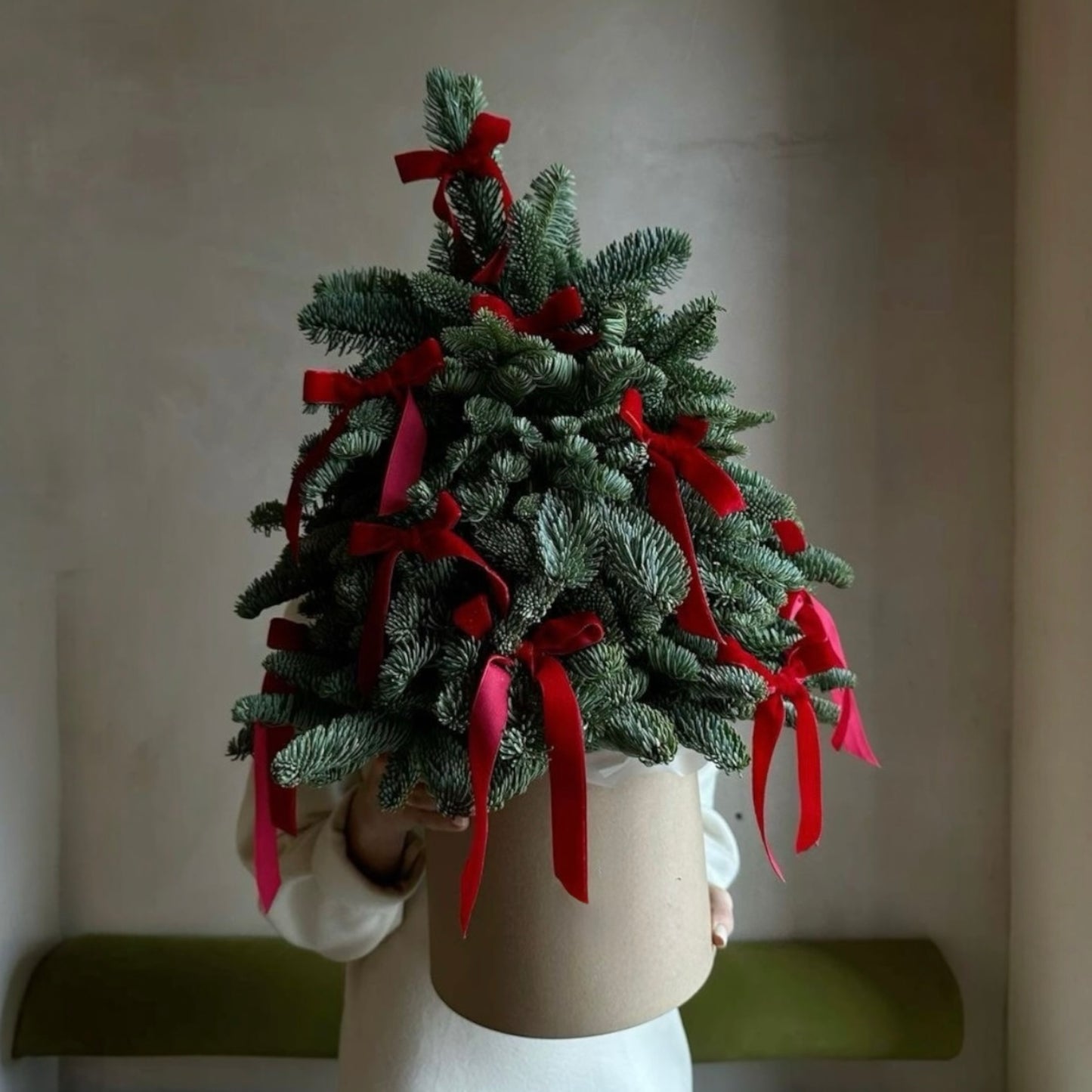 Mini Evergreen Christmas Tree with Red Ribbon