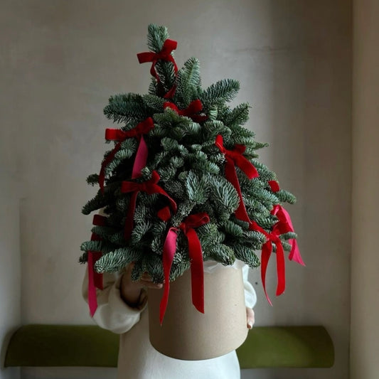 Mini Evergreen Christmas Tree with Red Ribbon
