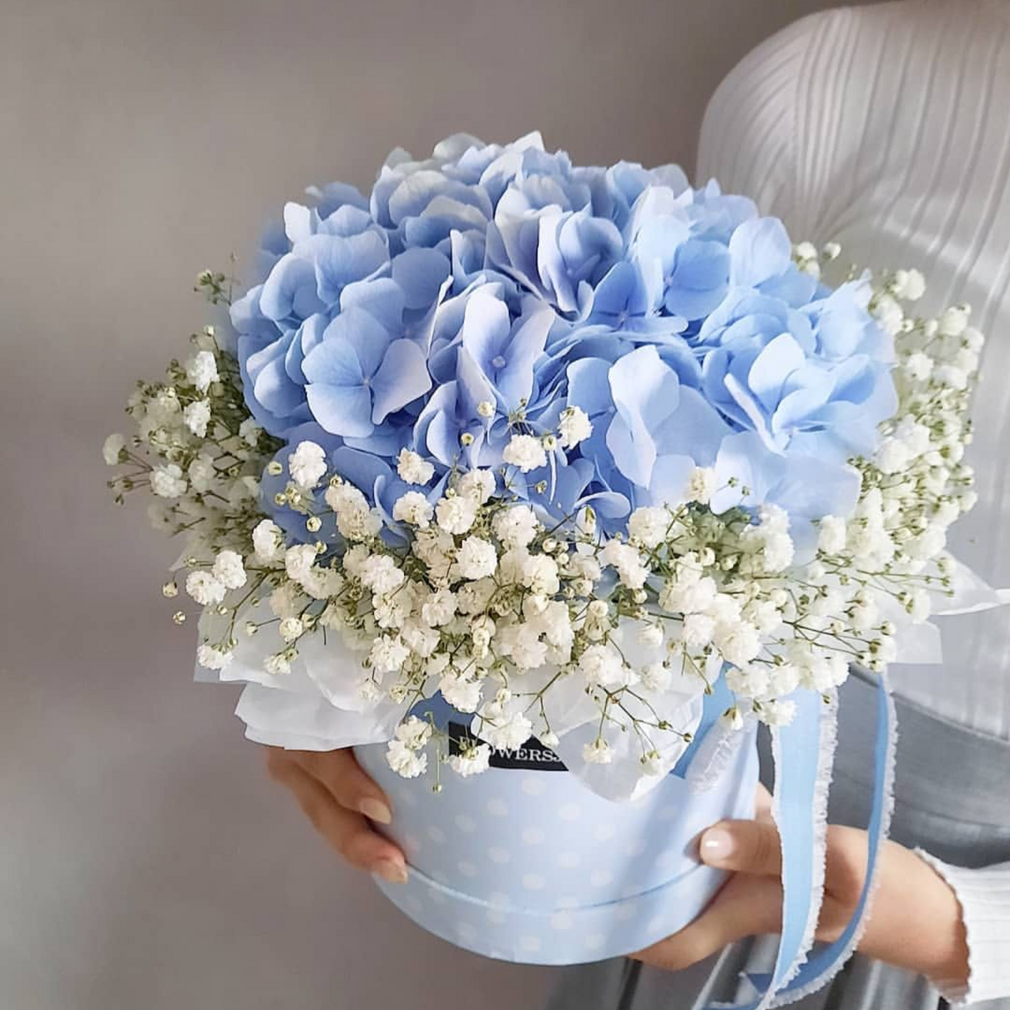 Sky Blue Hydrangea Dream Box