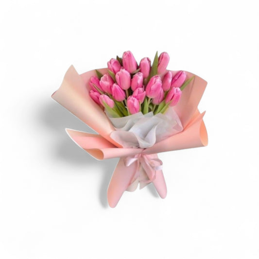Tulip Kiss